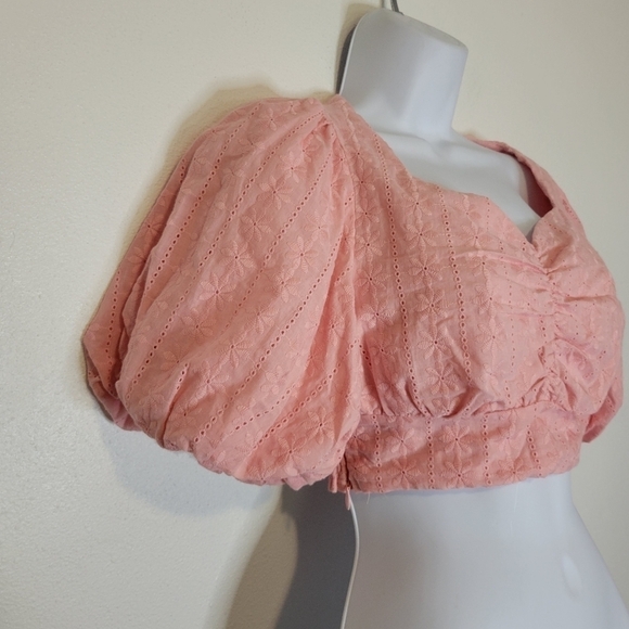 Chicwish pink cottagecore crop top w/puffy sleeves and floral embroidery - Picture 2 of 7